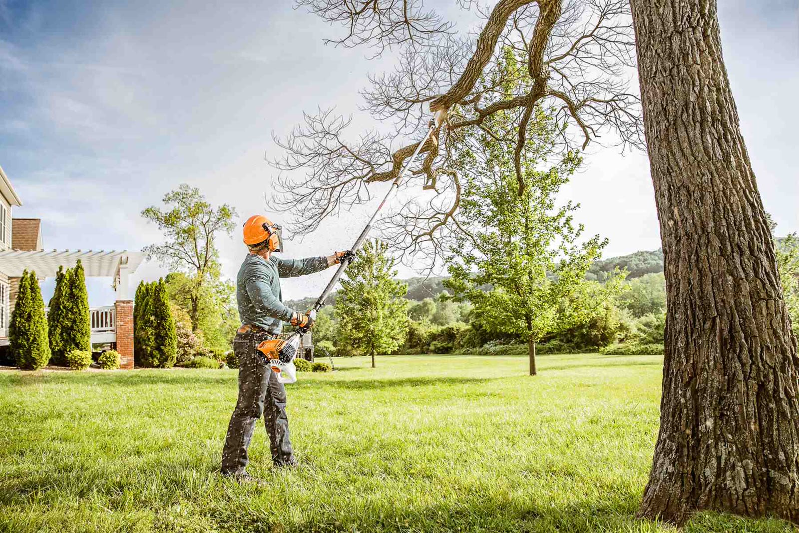 Arborist pruning a backyard tree from the ground with a pole saw. Photo from Crawford Treecare.